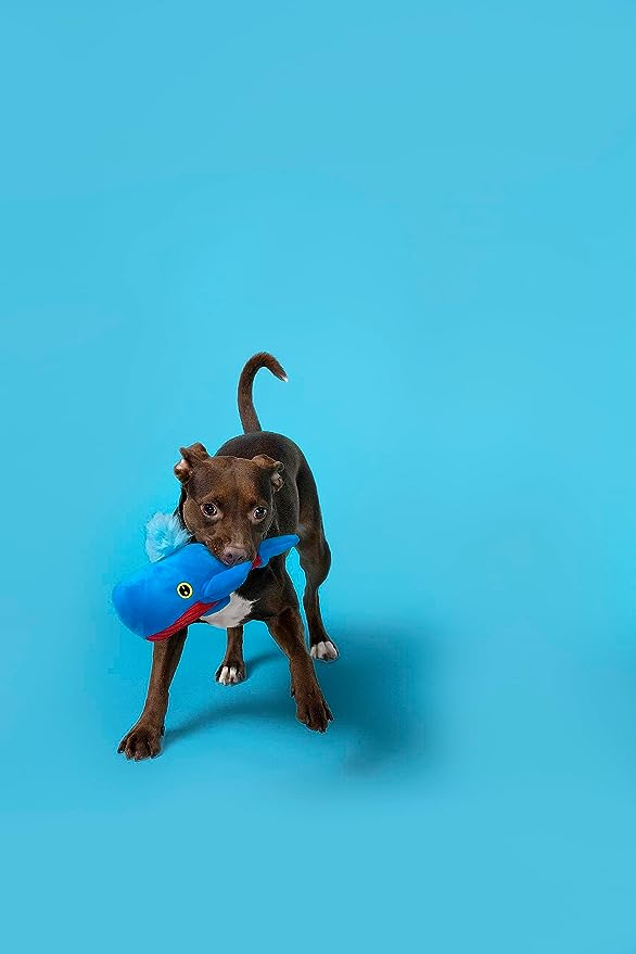 Barkbox Under The Sea Bundle - 3 Toys- Squeaky & Plush- Maggie Mahi, Shify Sid The Squid, Moby Lick