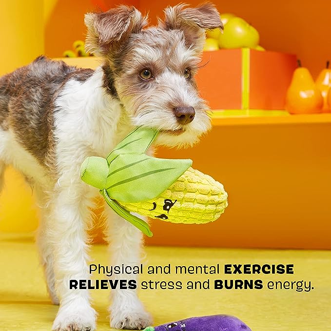 Barkbox- Plush and Squeak Chew Toys Double Trouble Veggies