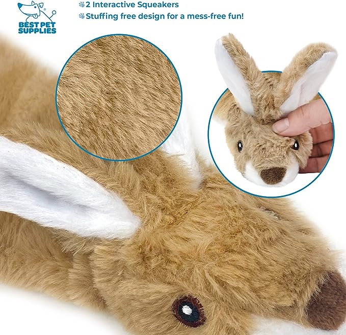 Best Pet Supplies 2-in-1 Stuffless Squeaky Dog Toys with Soft, Durable Fabric