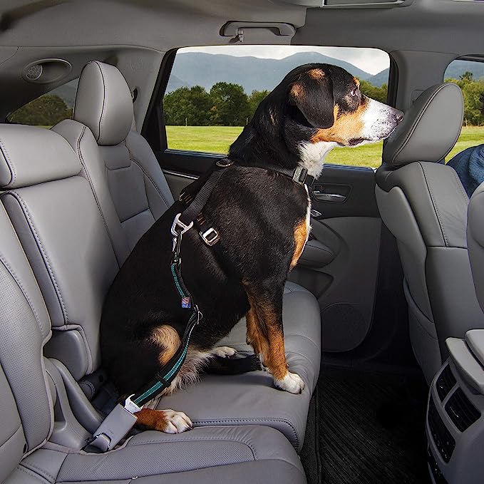 Kurgo Direct to Seatbelt Swivel Tether for Dogs
