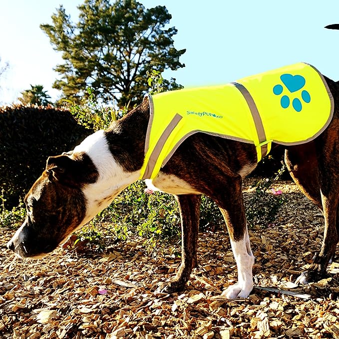 SafetyPUP XD Urban Dog Reflective Vest