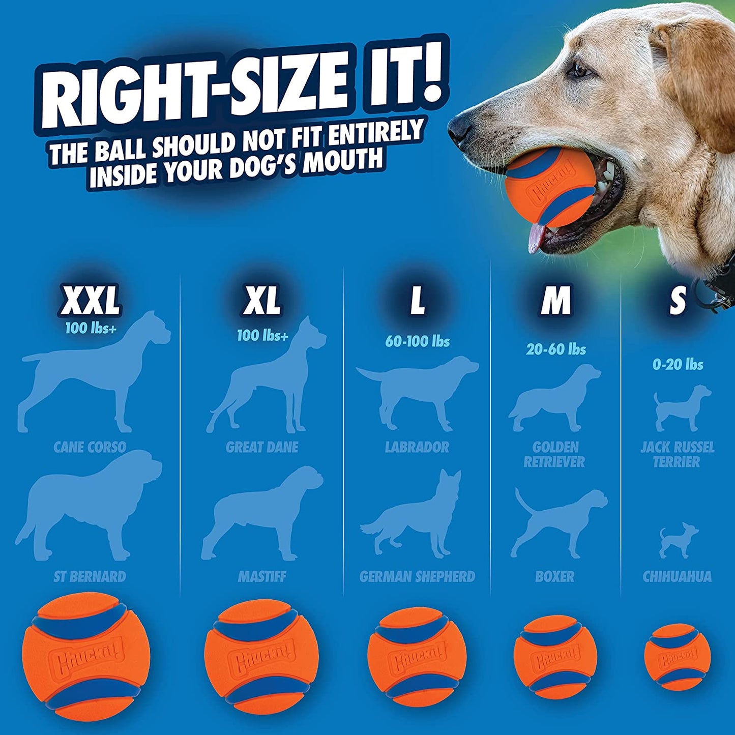 Chuckit Ultra Ball Dog Toy- it floats too! (2 pack, varying sizes) - Mongrel Mania