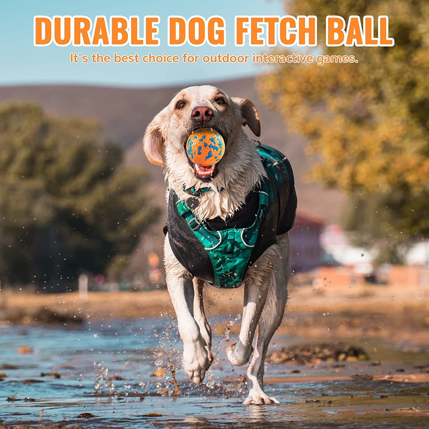 FUSOTO Interactive FLOATING and BOUNCY dog ball - Mongrel Mania