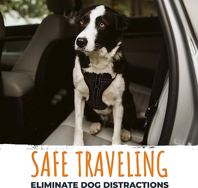 Mighty Paw Dog Seat Belt - Mongrel Mania