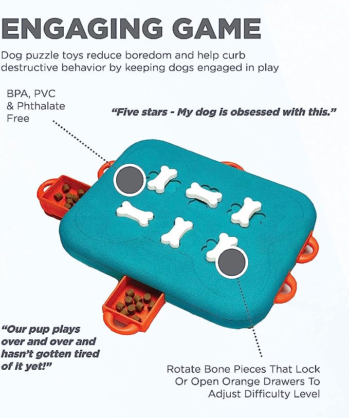 Outward Hound Nina Ottosson Dog Interactive Treat Puzzle Dog Toy, Advanced - Mongrel Mania