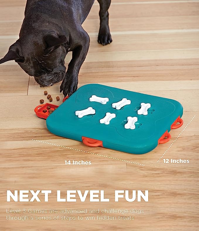 Outward Hound Nina Ottosson Dog Interactive Treat Puzzle Dog Toy, Advanced - Mongrel Mania