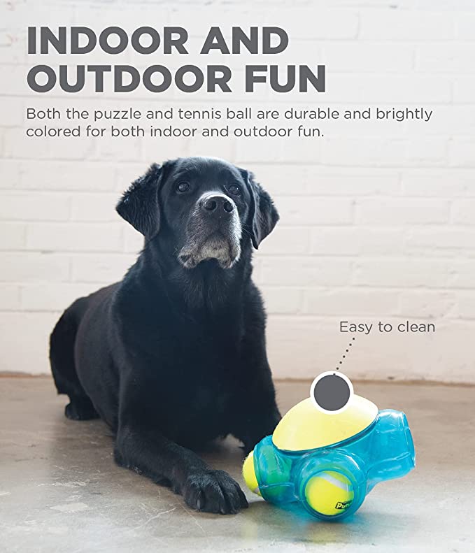 Outward Hound Tennis Maze Craze Interactive Squeaky Dog Toy - Mongrel Mania