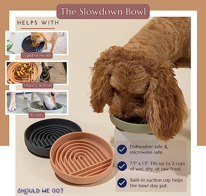 Should We Go? Slow Feeder Dog Bowl & Lick Mat - Mongrel Mania