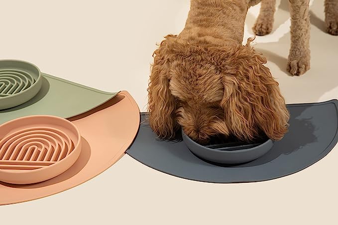 Should We Go? Slow Feeder Dog Bowl & Lick Mat - Mongrel Mania