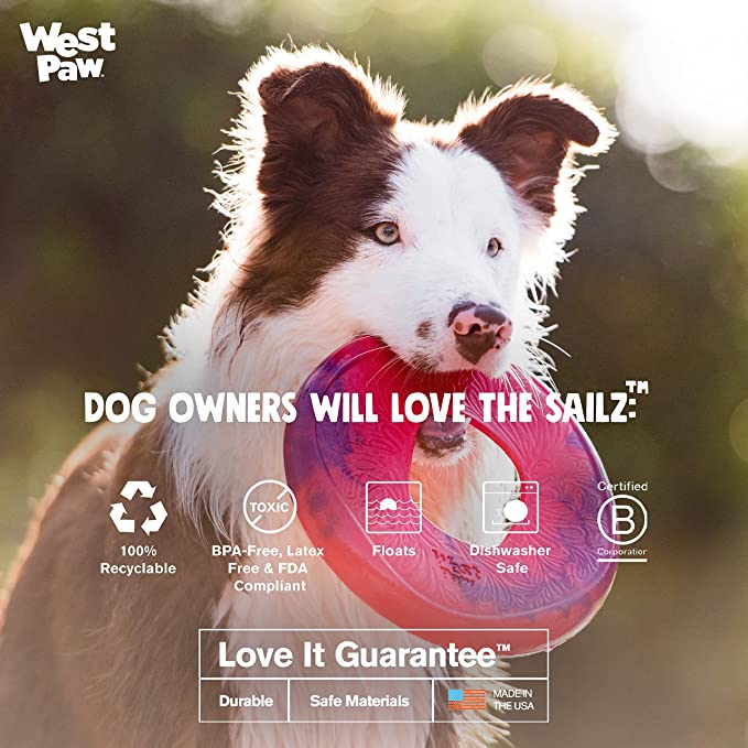 WEST PAW Seaflex Sailz Dog Toy Flying Disc for Moderate Chewers - Mongrel Mania