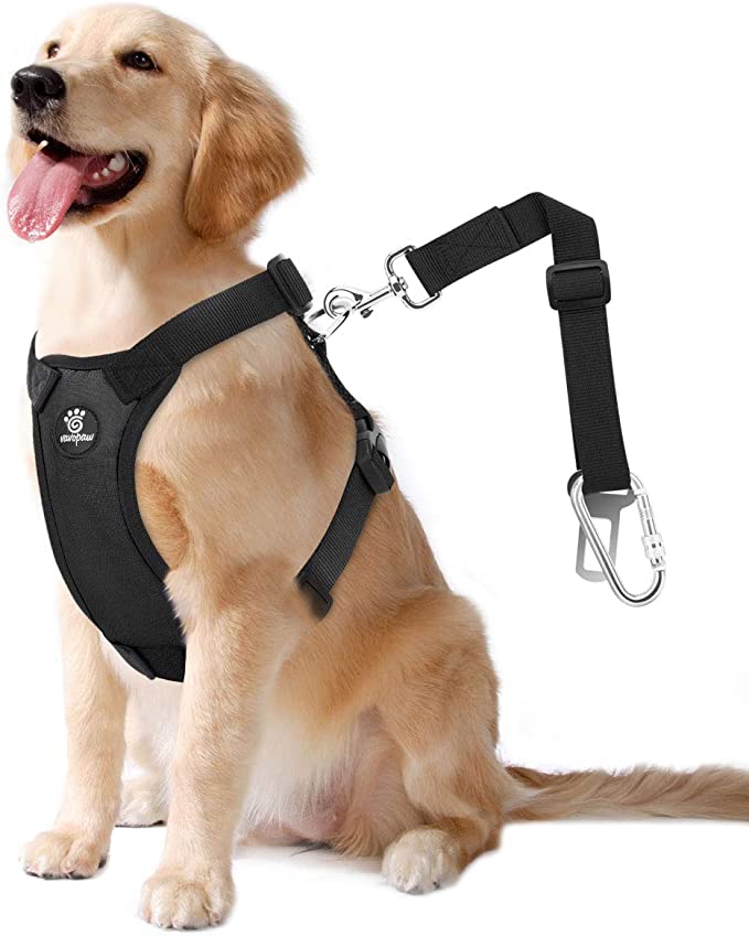 VavoPaw Dog Vehicle Safety Vest Harness: Soft Padded Mesh