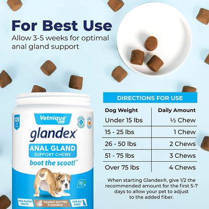 Vetnique Labs Glandex Anal Gland Soft Chew Treats with Pumpkin for Dogs Digestive Enzymes, Probiotics Fiber Supplement for Dogs "Boot The Scoot"