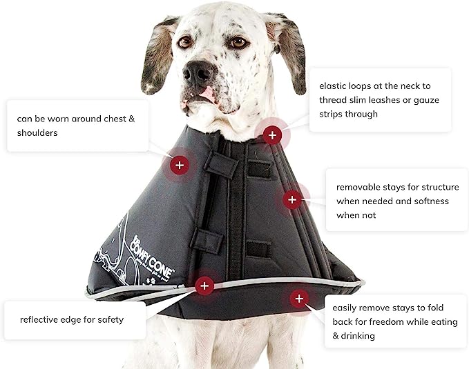 All Four Paws Comfy Cone (soft e-collar)