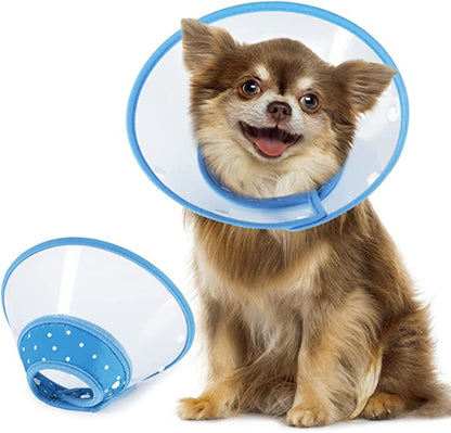 Vivifying Dog Cones for Small Dogs