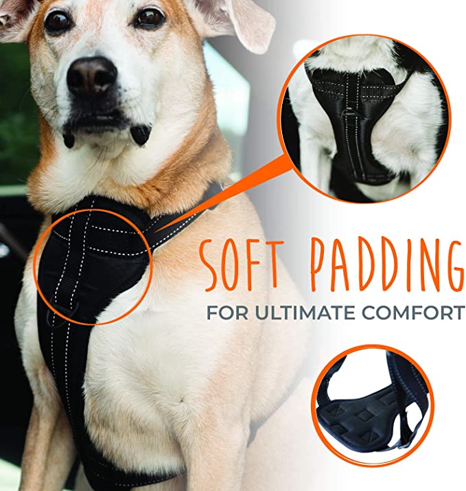 Mighty Paw Car Dog Harness