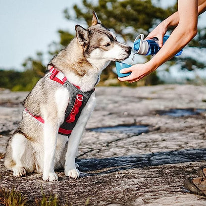 Kurgo Gourd 2 in 1 Dog Travel Water Bottle