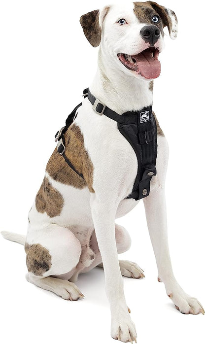 Kurgo Dog Car Harness: Certified Crash Tested by Kurgo