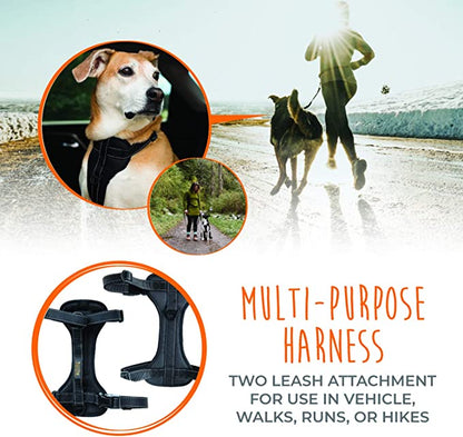 Mighty Paw Car Dog Harness