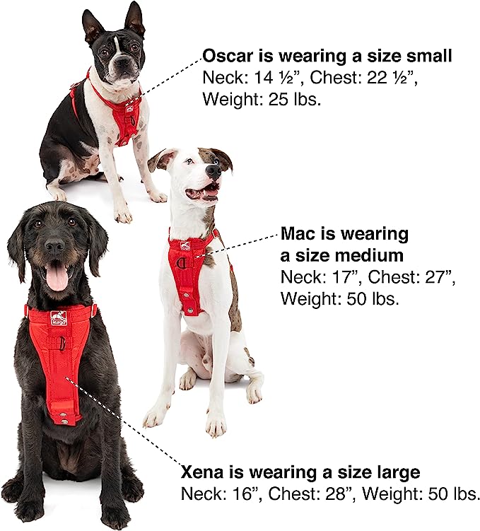 Kurgo Dog Car Harness: Certified Crash Tested by Kurgo