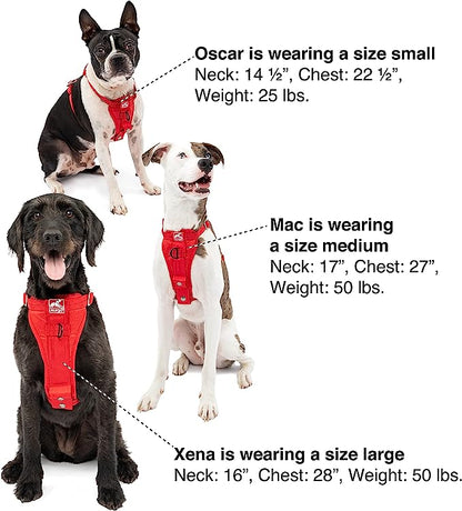 Kurgo Dog Car Harness: Certified Crash Tested by Kurgo