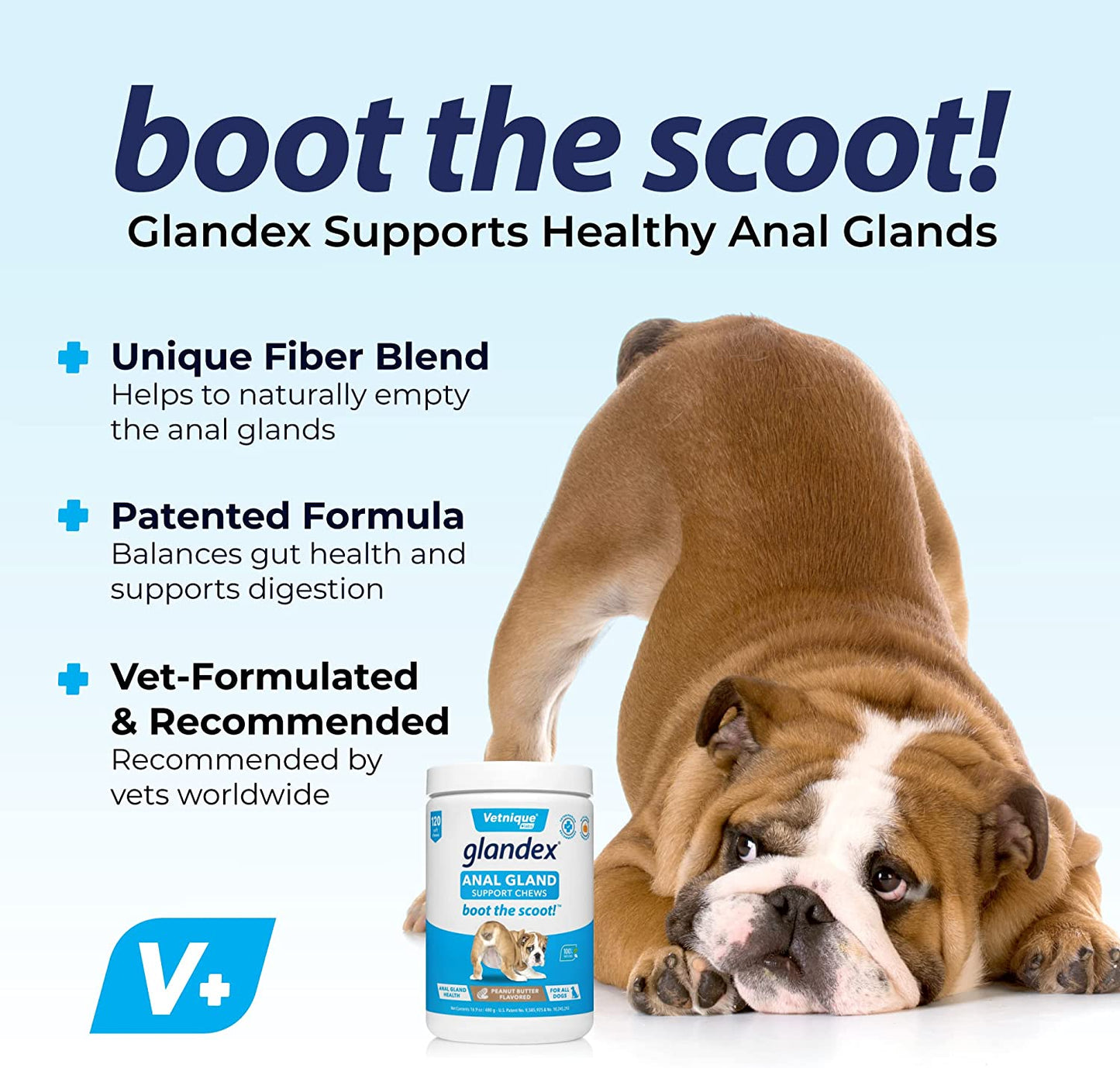 Vetnique Labs Glandex Anal Gland Soft Chew Treats with Pumpkin for Dogs Digestive Enzymes, Probiotics Fiber Supplement for Dogs "Boot The Scoot"