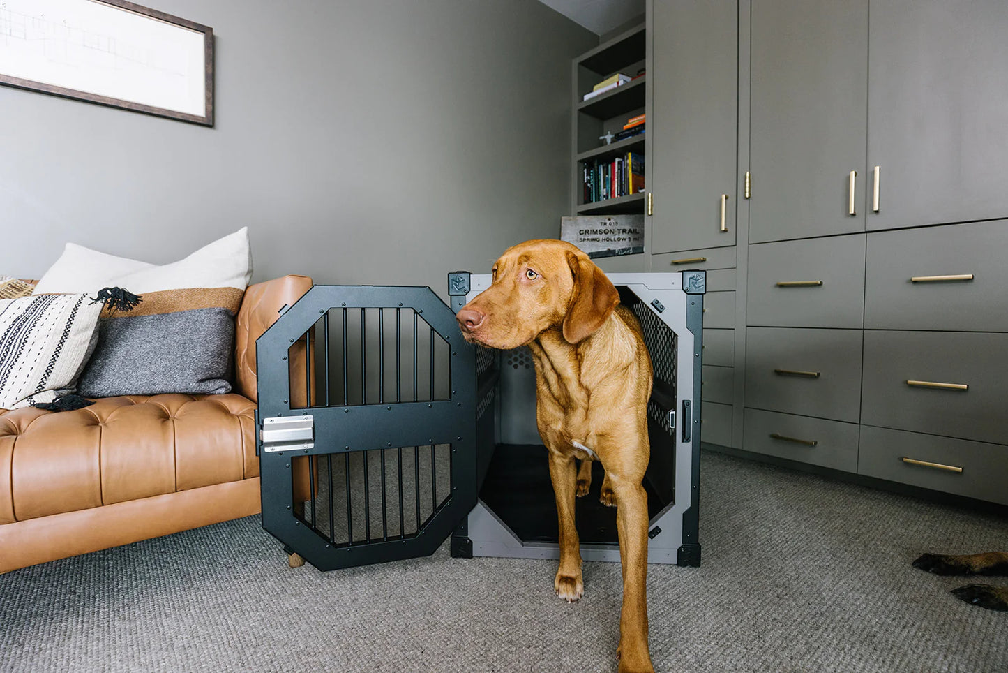 **Rock Creek Aluminum Dog Crate- CPS crash test certified