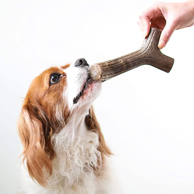 Benebone Durable Dog Chew Toy for Aggressive Chewers, Real Maplewood or Bacon - Mongrel Mania