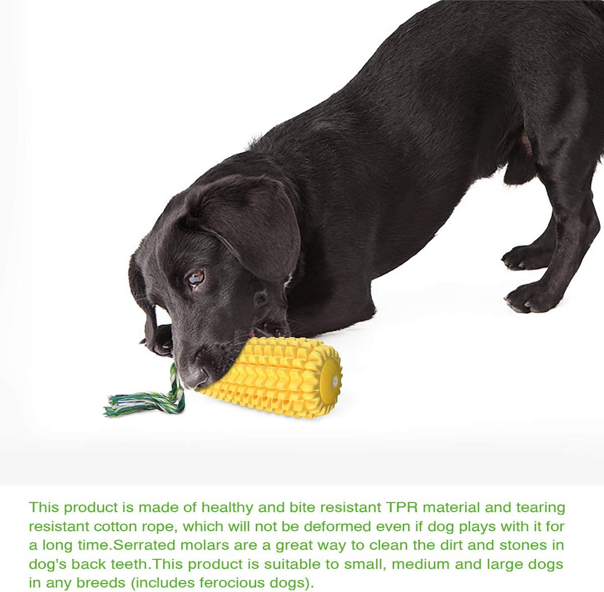 Chew Corn Stick Toy- Dog Chew Toys for Aggressive Chewers, Indestructible Tough Durable Squeaky Interactive Dog Toys, Puppy Teeth - Mongrel Mania