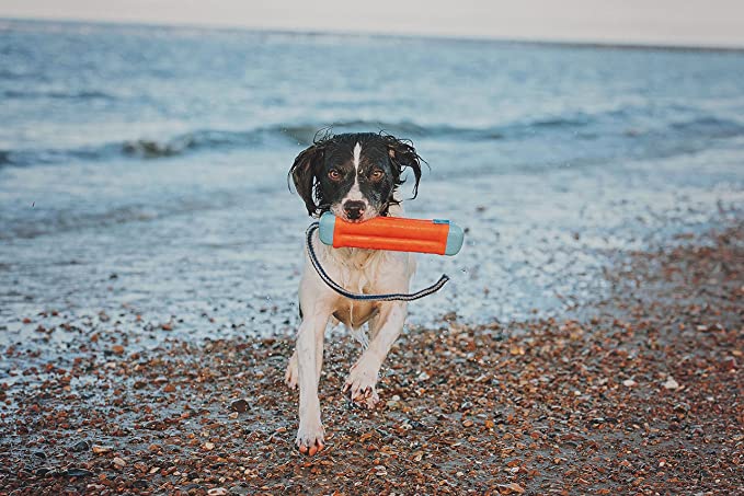 ChuckIt! Amphibious Bumper Fetch and Float Dog Toy - Mongrel Mania