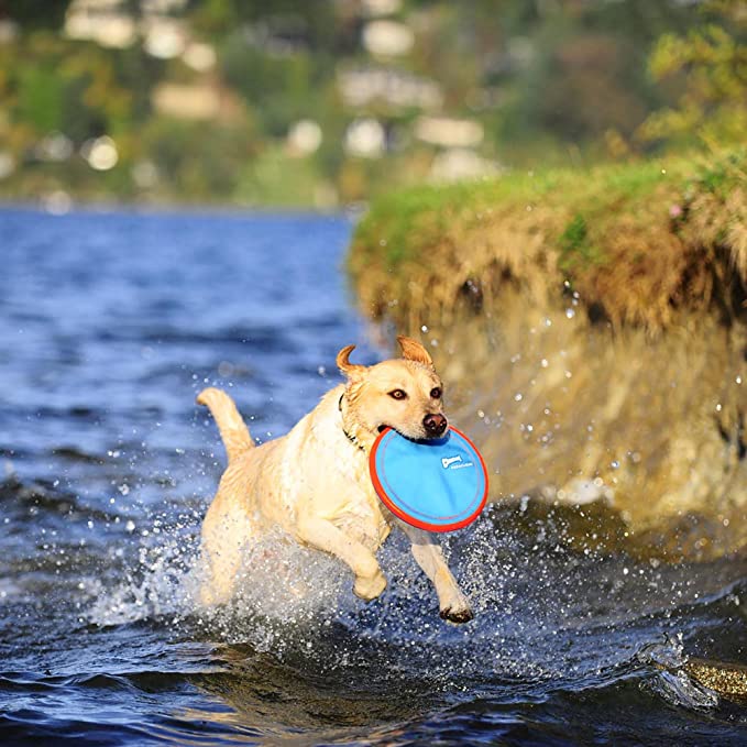 ChuckIt! Paraflight Flyer Dog Frisbee Toy Floats On Water; Gentle On Dog's Teeth And Gums - Mongrel Mania