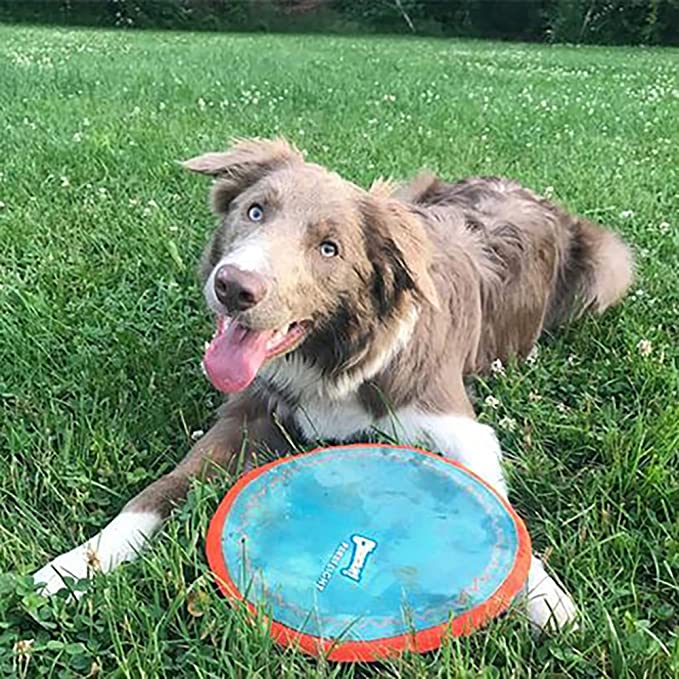 ChuckIt! Paraflight Flyer Dog Frisbee Toy Floats On Water; Gentle On Dog's Teeth And Gums - Mongrel Mania