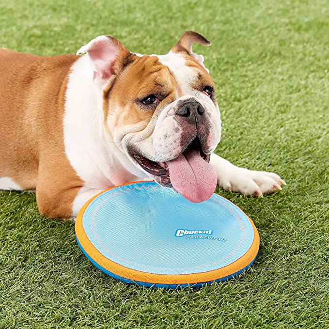 ChuckIt! Paraflight Flyer Dog Frisbee Toy Floats On Water; Gentle On Dog's Teeth And Gums - Mongrel Mania