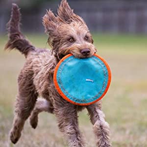 ChuckIt! Paraflight Flyer Dog Frisbee Toy Floats On Water; Gentle On Dog's Teeth And Gums - Mongrel Mania