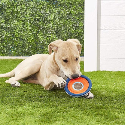 ChuckIt! Zipflight Flyer Dog Frisbee & Dog Toy that Floats - Mongrel Mania