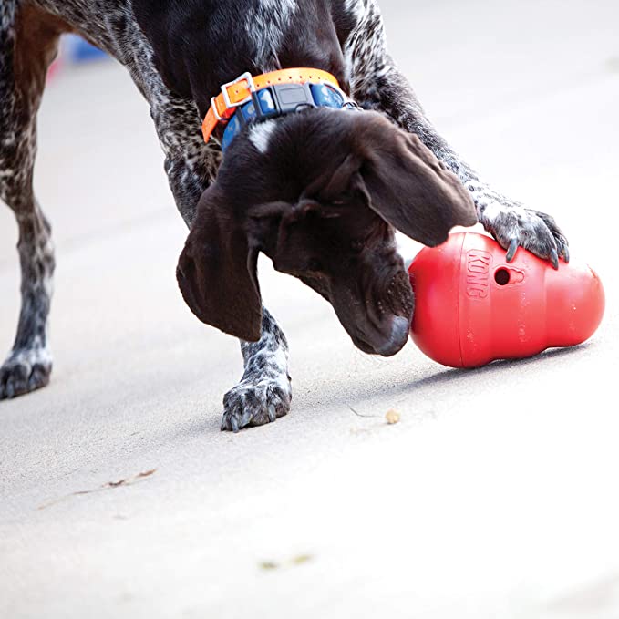 KONG Wobbler - Interactive Dog Toy - Slow Feeder Toy for Dog Mental Stimulation - Mongrel Mania