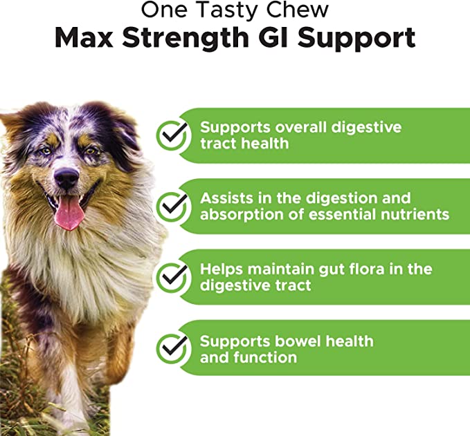 Pet Honesty Super Pooper Max Strength Chews - Mongrel Mania