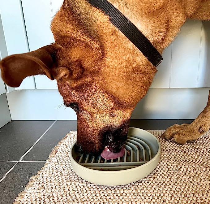 Should We Go? Slow Feeder Dog Bowl & Lick Mat - Mongrel Mania