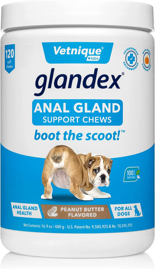 Vetnique Labs Glandex Anal Gland Soft Chew Treats with Pumpkin for Dogs Digestive Enzymes, Probiotics Fiber Supplement for Dogs "Boot The Scoot" - Mongrel Mania