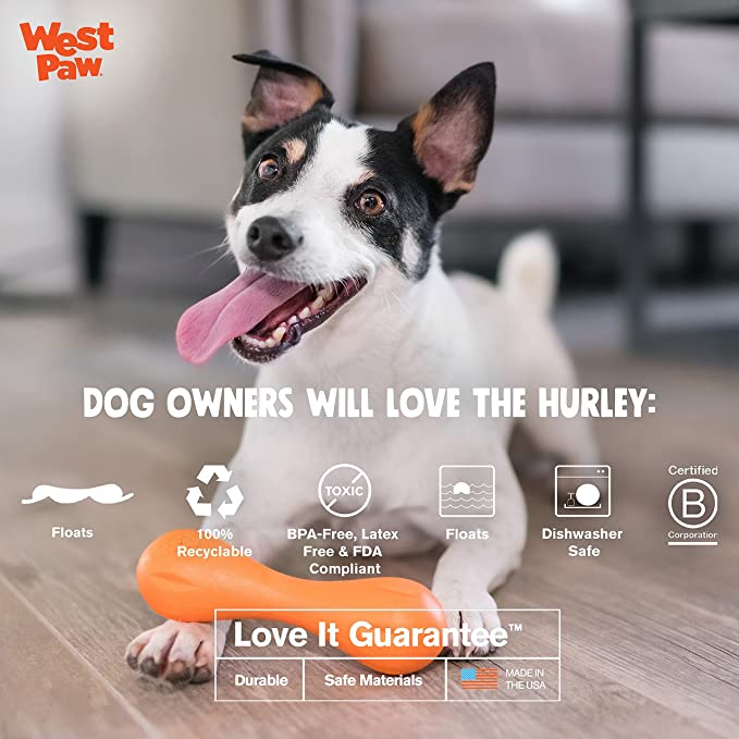 West Paw Zogoflex Hurley Dog Bone Chew Toy – Floatable Pet Toys for Aggressive Chewers - Mongrel Mania