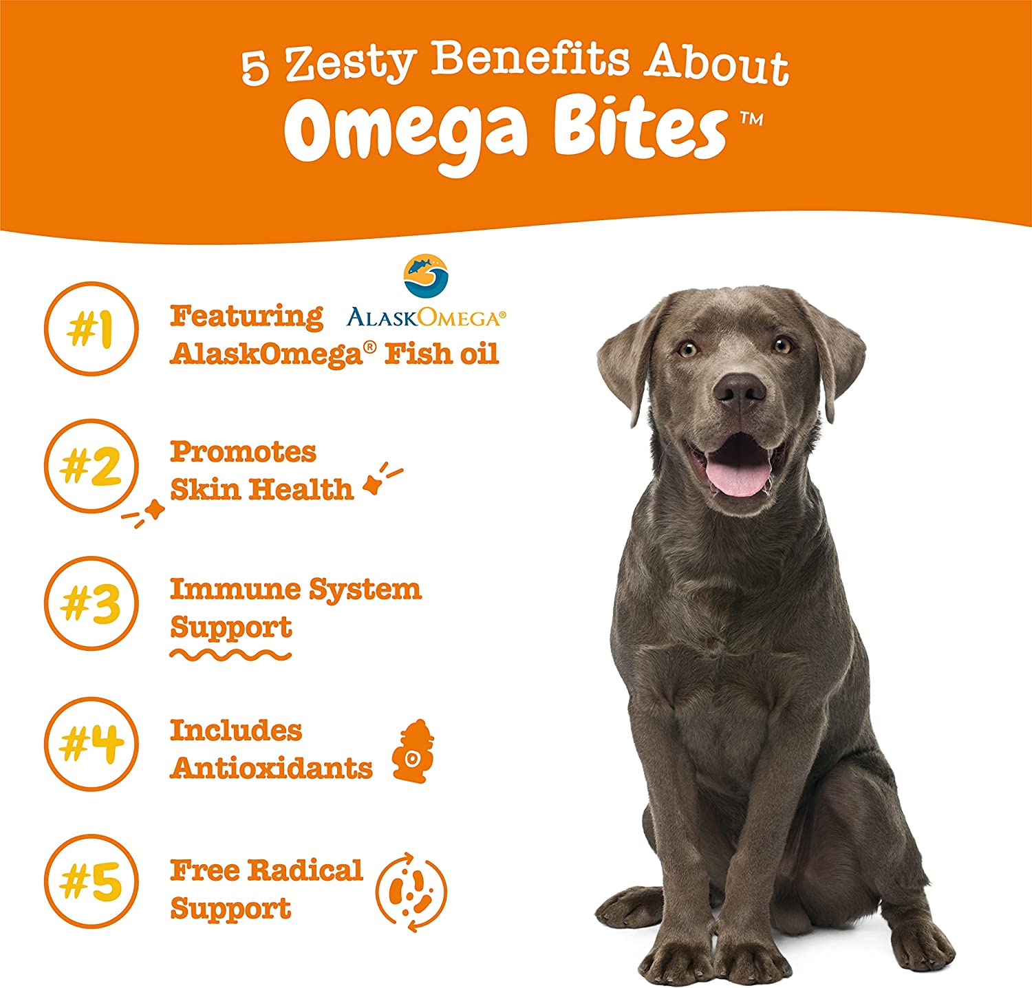 Zesty Paws Omega 3 Alaskan Fish Oil Chews (90 Soft Chews) - Mongrel Mania